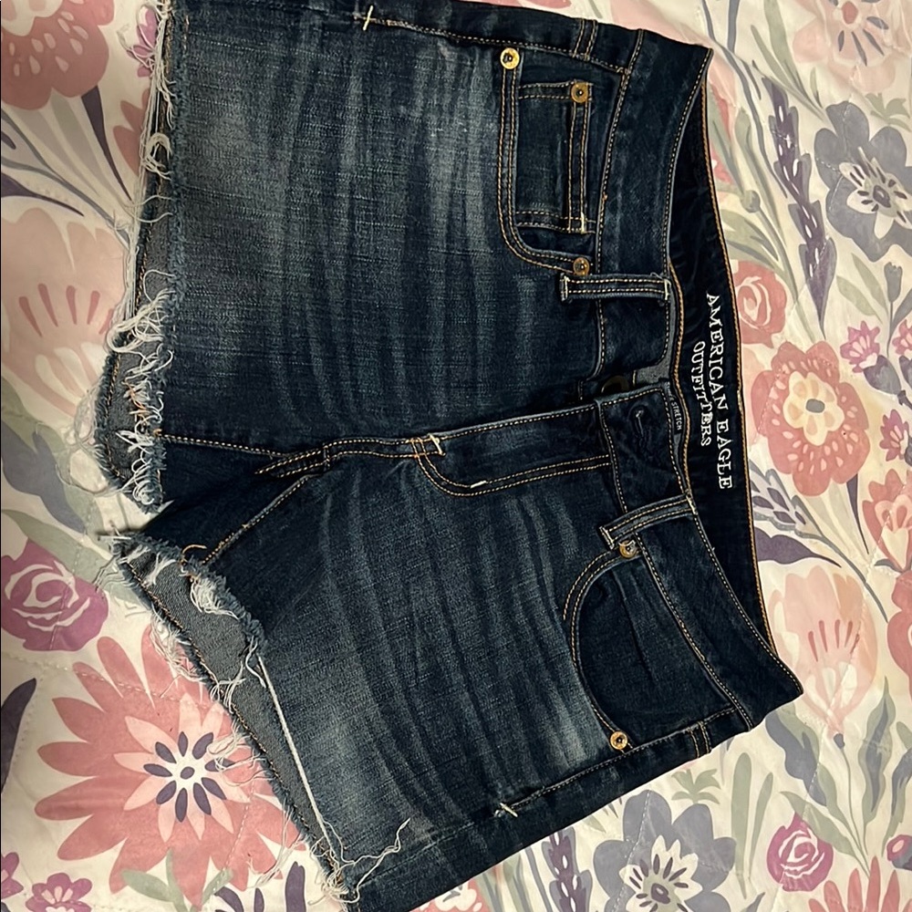American Eagle Outfitters Blue Jean Shorts Classic Distressed